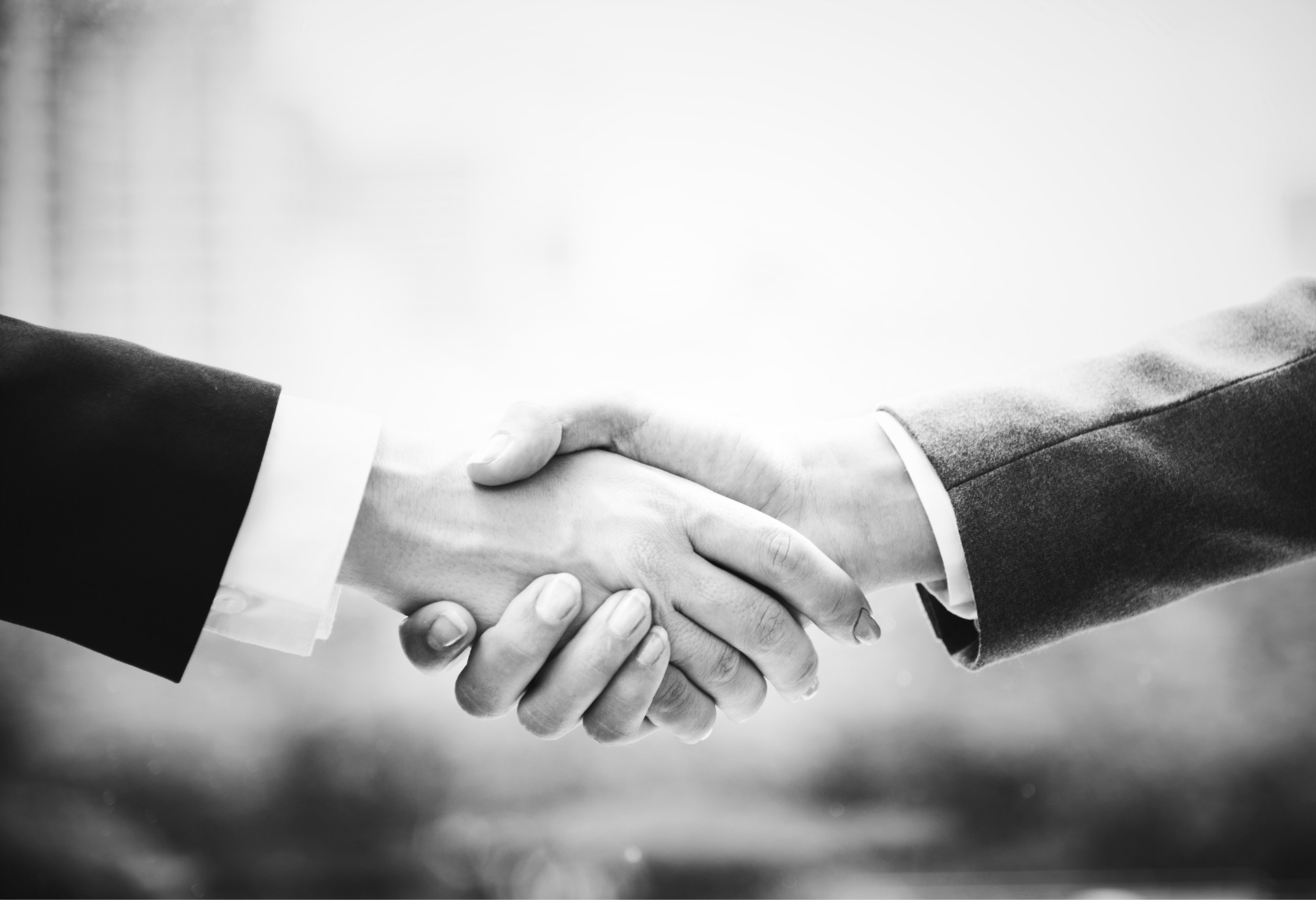 adult-black-and-white-business-deal-1437866_meitu_1.jpg